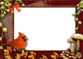 Fotoefect din categoria Toamnă № 1013
