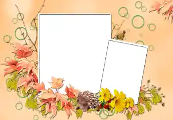 Fotoefect din categoria Toamnă № 103852