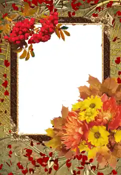 Fotoefect din categoria Toamnă № 103855