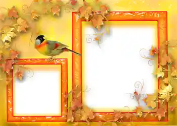 Fotoefect din categoria Toamnă № 1124 Fotoefect din categoria Toamnă № 1124