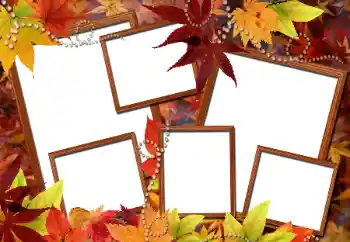 Fotoefect din categoria Toamnă № 112976