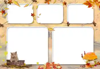 Fotoefect din categoria Toamnă № 117689