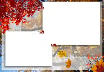Fotoefect din categoria Toamnă № 125722