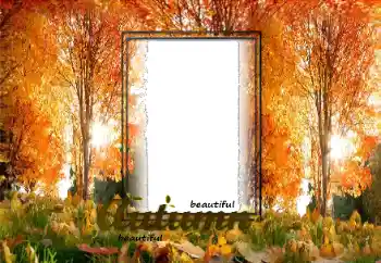 Fotoefect din categoria Toamnă № 125870