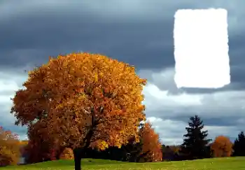 Fotoefect din categoria Toamnă № 125889