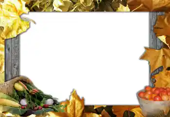 Fotoefect din categoria Toamnă № 127051