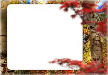 Fotoefect din categoria Toamnă № 127331