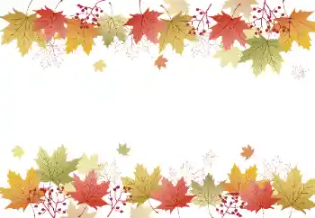 Fotoefect din categoria Toamnă № 128328