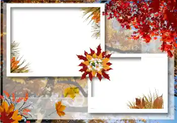 Fotoefect din categoria Toamnă № 12922