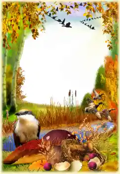 Fotoefect din categoria Toamnă № 129768