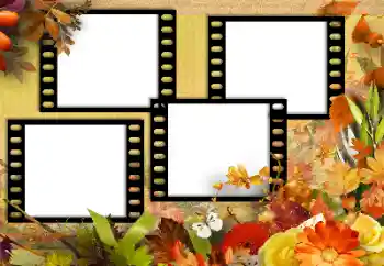 Fotoefect din categoria Toamnă № 131752 Fotoefect din categoria Toamnă № 131752