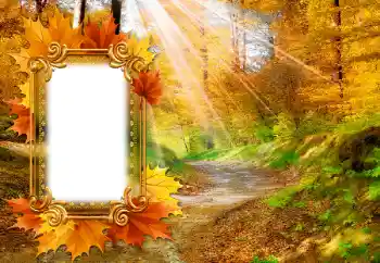 Fotoefect din categoria Toamnă № 142463 Fotoefect din categoria Toamnă № 142463