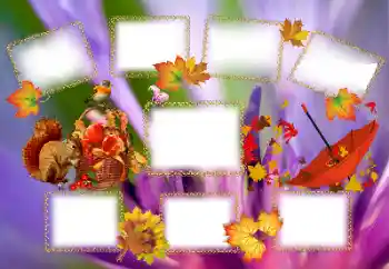 Fotoefect din categoria Toamnă № 143637 Fotoefect din categoria Toamnă № 143637