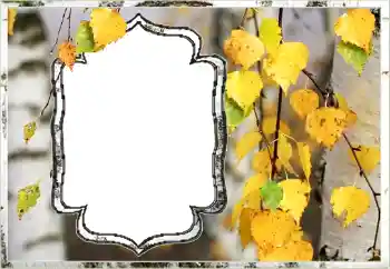 Fotoefect din categoria Toamnă № 144851 Fotoefect din categoria Toamnă № 144851