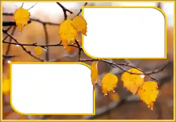 Fotoefect din categoria Toamnă № 145075 Fotoefect din categoria Toamnă № 145075