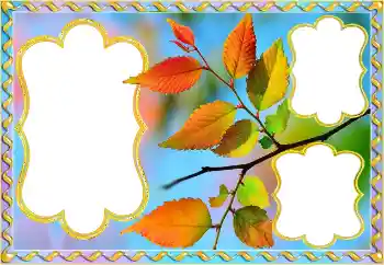 Fotoefect din categoria Toamnă № 145082