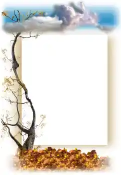 Fotoefect din categoria Toamnă № 15012