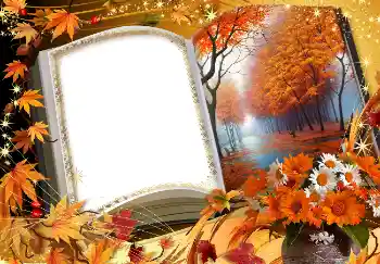 Fotoefect din categoria Toamnă № 1539