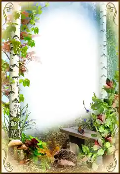 Fotoefect din categoria Toamnă № 1542