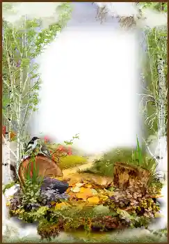 Fotoefect din categoria Toamnă № 1543