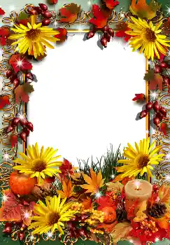 Fotoefect din categoria Toamnă № 1545
