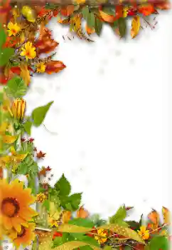 Fotoefect din categoria Toamnă № 157238 Fotoefect din categoria Toamnă № 157238