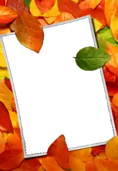 Fotoefect din categoria Toamnă № 159508