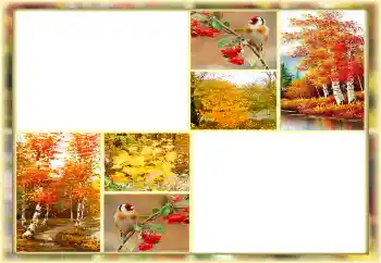 Fotoefect din categoria Toamnă № 160654 Fotoefect din categoria Toamnă № 160654
