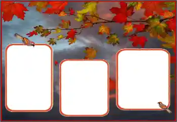 Fotoefect din categoria Toamnă № 162013