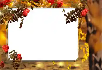 Fotoefect din categoria Toamnă № 166546 Fotoefect din categoria Toamnă № 166546