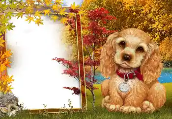 Fotoefect din categoria Toamnă № 190594 Fotoefect din categoria Toamnă № 190594