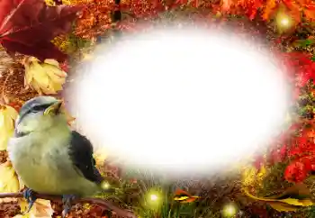 Fotoefect din categoria Toamnă № 191761