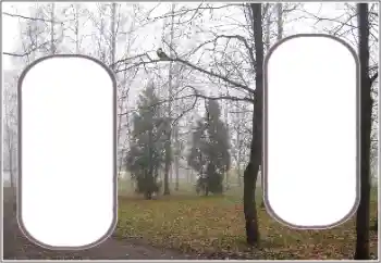 Fotoefect din categoria Toamnă № 191770