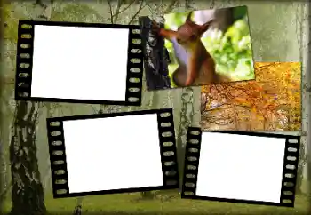 Fotoefect din categoria Toamnă № 192848