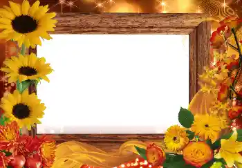 Fotoefect din categoria Toamnă № 2013