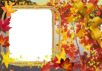 Fotoefect din categoria Toamnă № 2015