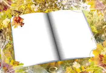 Fotoefect din categoria Toamnă № 2016