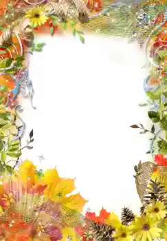 Fotoefect din categoria Toamnă № 2018