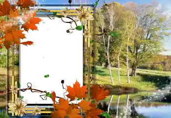 Fotoefect din categoria Toamnă № 2020