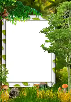 Fotoefect din categoria Toamnă № 34731 Fotoefect din categoria Toamnă № 34731