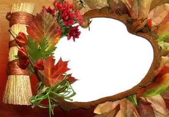Fotoefect din categoria Toamnă № 5620