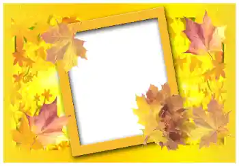 Fotoefect din categoria Toamnă № 58883 Fotoefect din categoria Toamnă № 58883