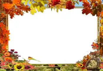 Fotoefect din categoria Toamnă № 62654