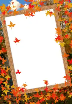 Fotoefect din categoria Toamnă № 68614