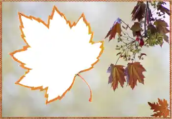 Fotoefect din categoria Toamnă № 80359