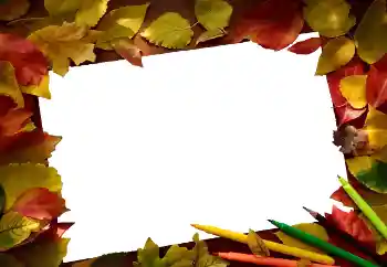 Fotoefect din categoria Toamnă № 81689