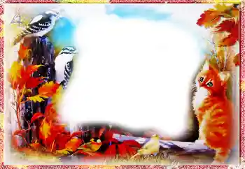 Fotoefect din categoria Toamnă № 86557