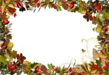 Fotoefect din categoria Toamnă № 89438