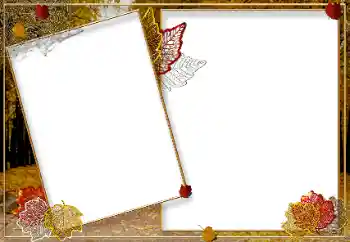 Fotoefect din categoria Toamnă № 9719