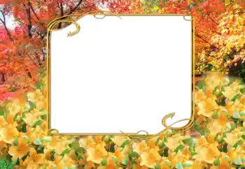 Fotoefect din categoria Toamnă № 9797